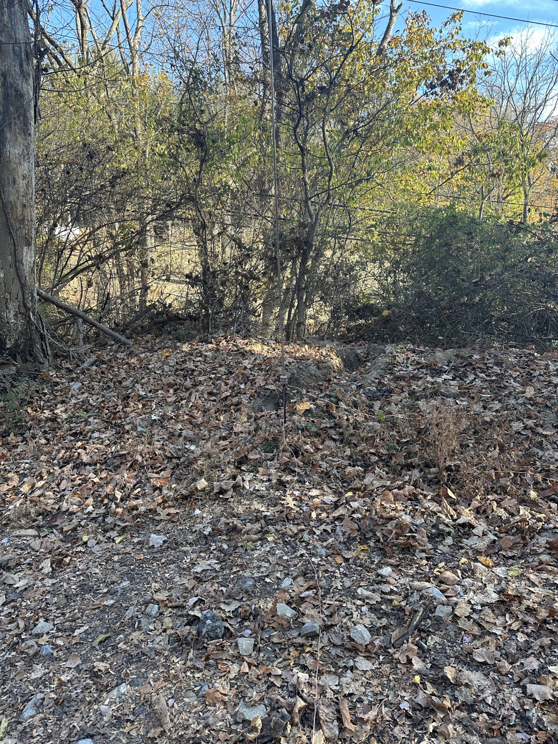 Activated my first park today!